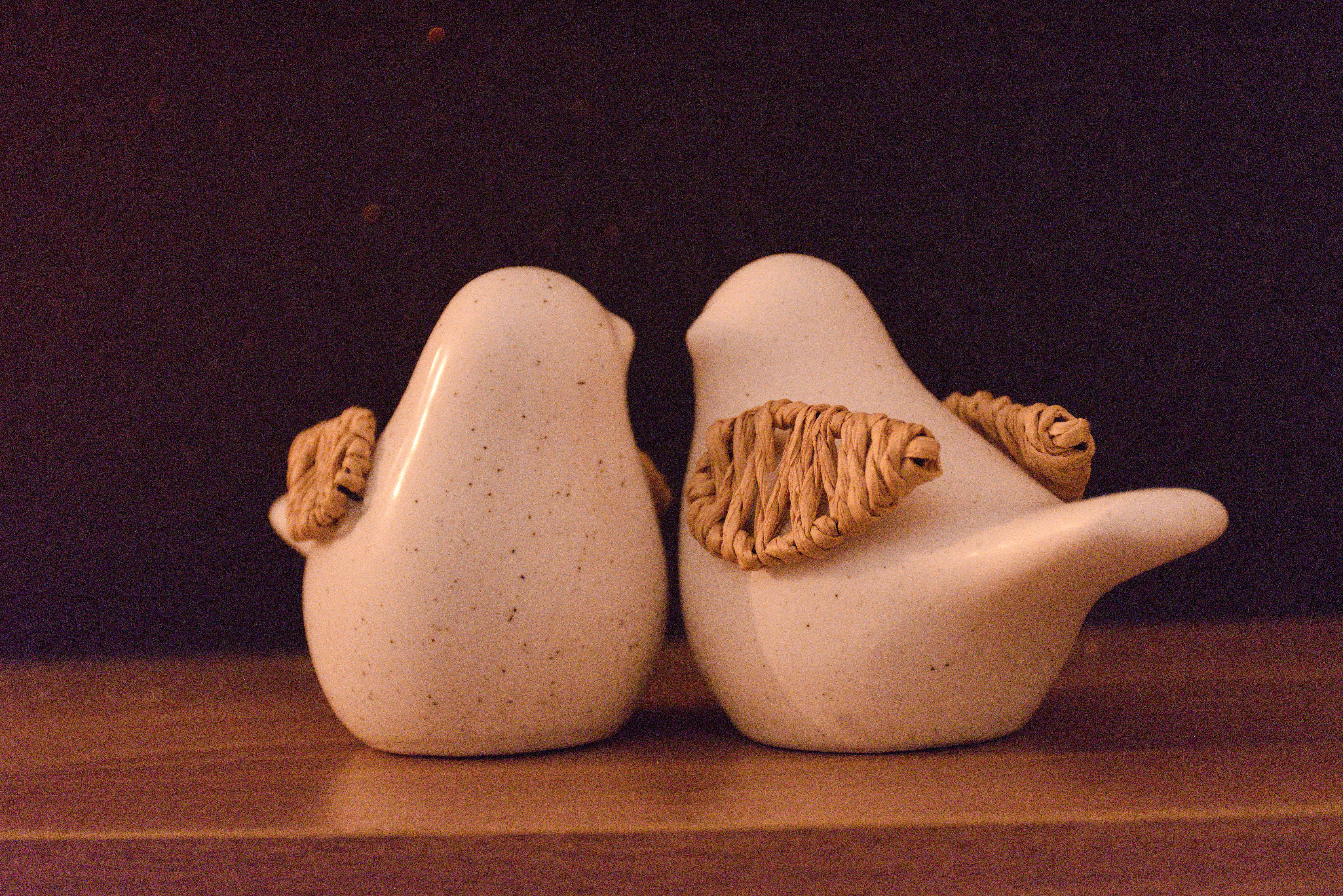 Ty-Koad Duo — photo 14